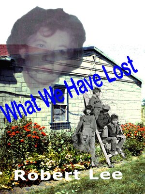 cover image of What We Have Lost
